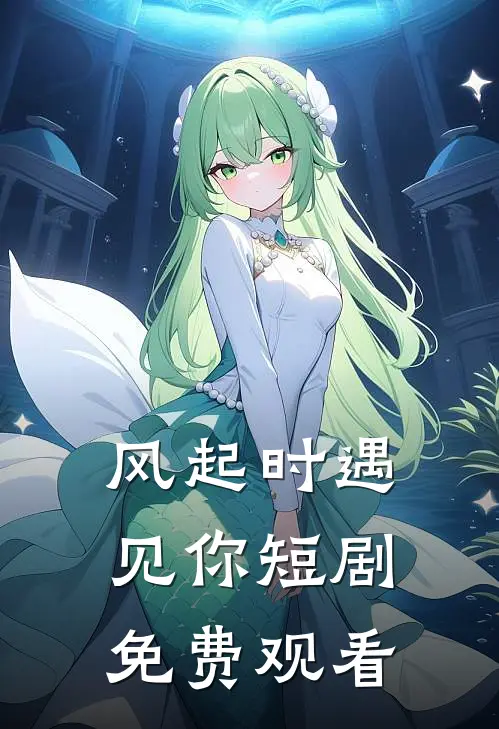 风起时遇见你短剧免费观看