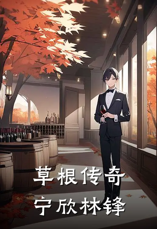 草根传奇宁欣林锋